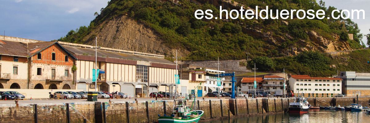 es.hotelduerose.com
